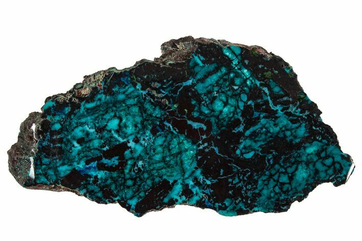 Vibrant Chrysocolla and Shattuckite Slab - Mexico #337041